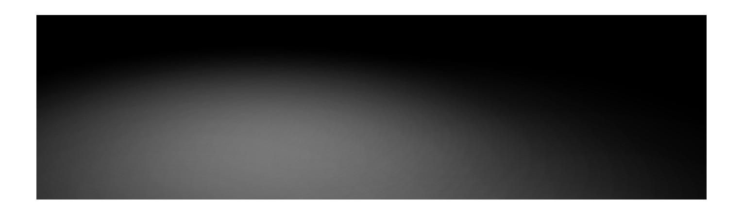 Calçado de trabalho, segurança, militar e especial